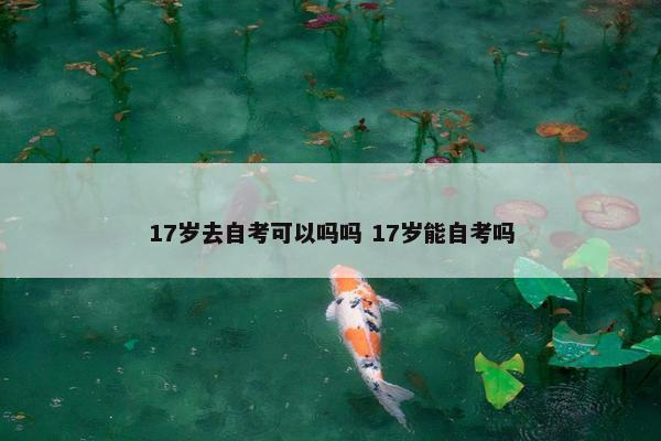 17岁去自考可以吗吗 17岁能自考吗