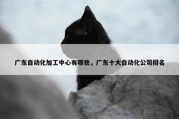 广东自动化加工中心有哪些，广东十大自动化公司排名