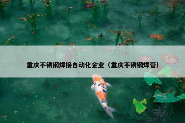 重庆不锈钢焊接自动化企业（重庆不锈钢焊管）