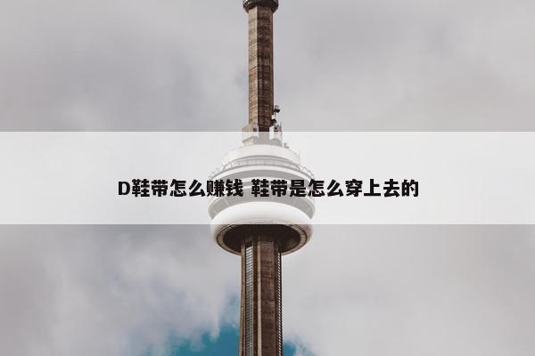 D鞋带怎么赚钱 鞋带是怎么穿上去的