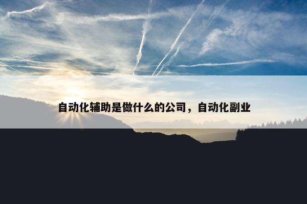 自动化辅助是做什么的公司，自动化副业