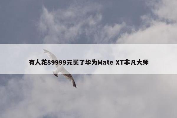 有人花89999元买了华为Mate XT非凡大师