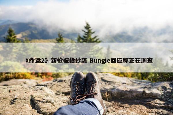 《命运2》新枪被指抄袭 Bungie回应称正在调查