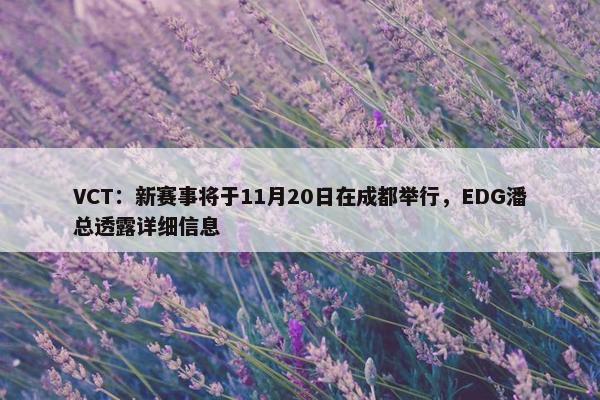 VCT：新赛事将于11月20日在成都举行，EDG潘总透露详细信息