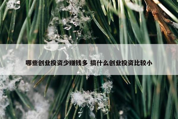 哪些创业投资少赚钱多 搞什么创业投资比较小