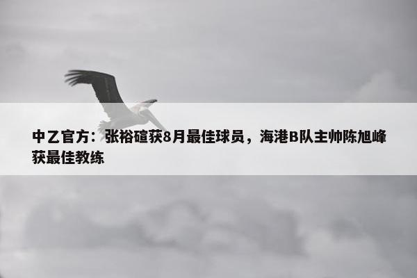 中乙官方：张裕碹获8月最佳球员，海港B队主帅陈旭峰获最佳教练