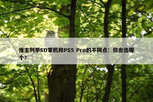 推主列举SD掌机和PS5 Pro的不同点：你会选哪个？