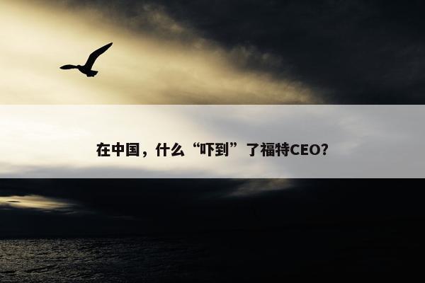 在中国，什么“吓到”了福特CEO？