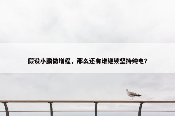 假设小鹏做增程，那么还有谁继续坚持纯电？