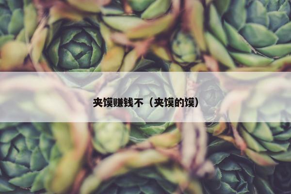 夹馍赚钱不（夹馍的馍）