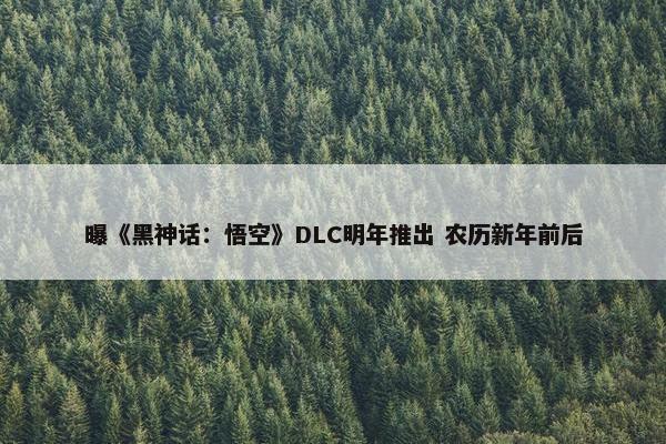 曝《黑神话：悟空》DLC明年推出 农历新年前后