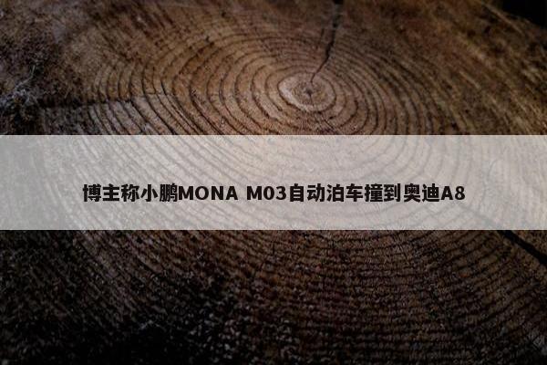 博主称小鹏MONA M03自动泊车撞到奥迪A8