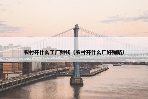 农村开什么工厂赚钱（农村开什么厂好销路）