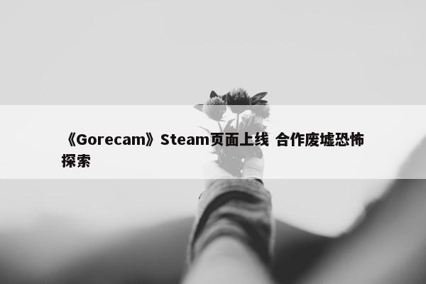 《Gorecam》Steam页面上线 合作废墟恐怖探索