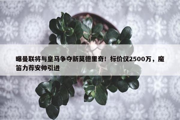 曝曼联将与皇马争夺新莫德里奇！标价仅2500万，魔笛力荐安帅引进