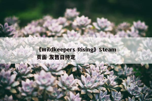 《Wildkeepers Rising》Steam页面 发售日待定