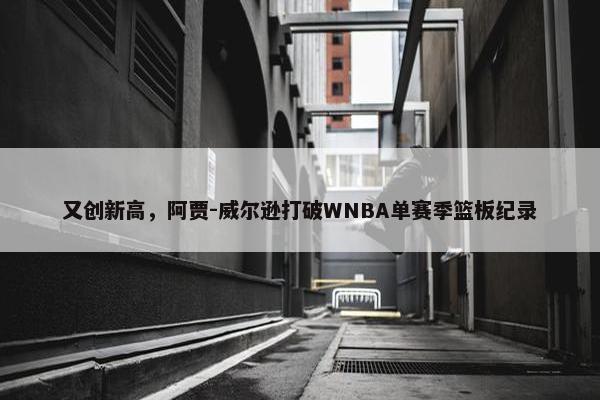 又创新高，阿贾-威尔逊打破WNBA单赛季篮板纪录