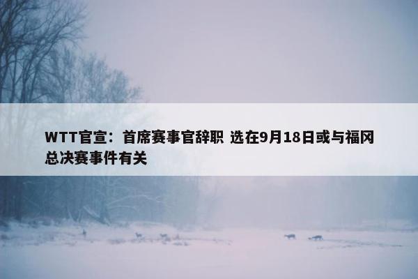 WTT官宣：首席赛事官辞职 选在9月18日或与福冈总决赛事件有关