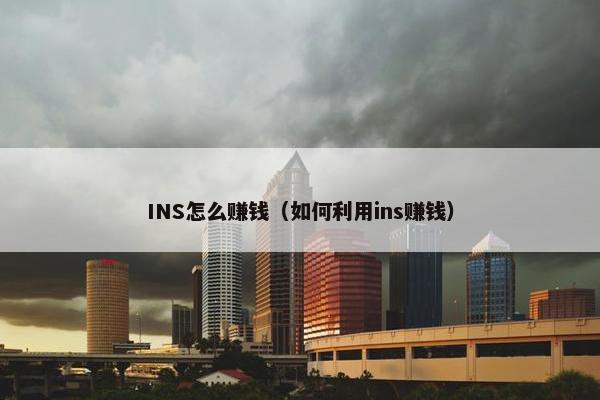 INS怎么赚钱（如何利用ins赚钱）