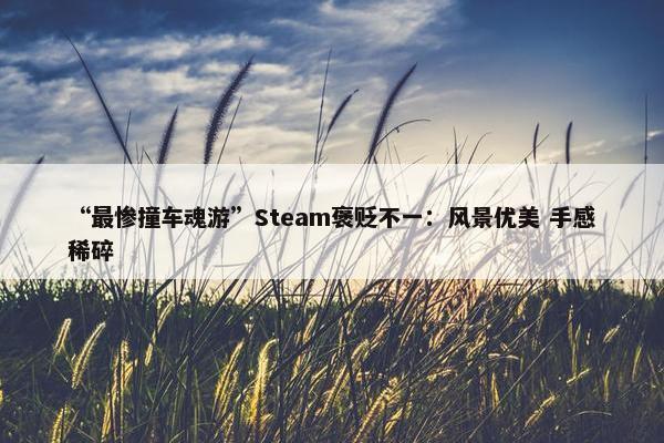 “最惨撞车魂游”Steam褒贬不一：风景优美 手感稀碎