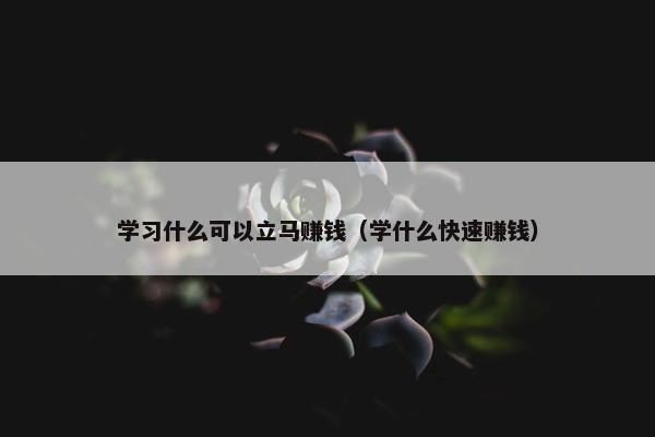 学习什么可以立马赚钱（学什么快速赚钱）