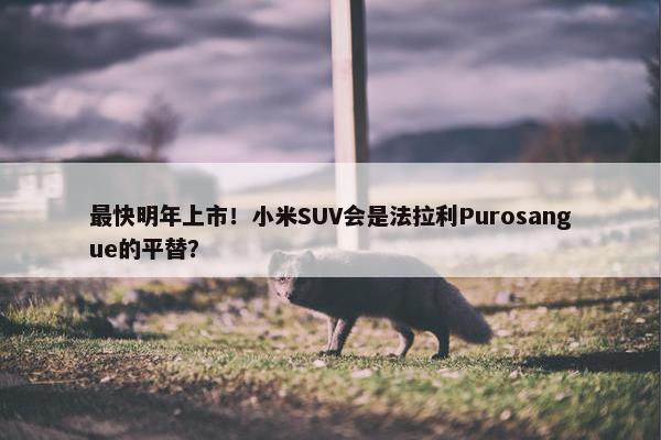 最快明年上市！小米SUV会是法拉利Purosangue的平替？