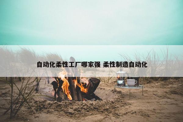 自动化柔性工厂哪家强 柔性制造自动化