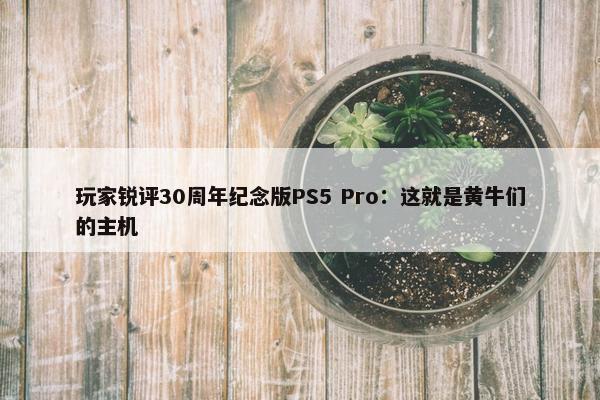 玩家锐评30周年纪念版PS5 Pro：这就是黄牛们的主机