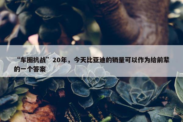 “车圈抗战”20年，今天比亚迪的销量可以作为给前辈的一个答案