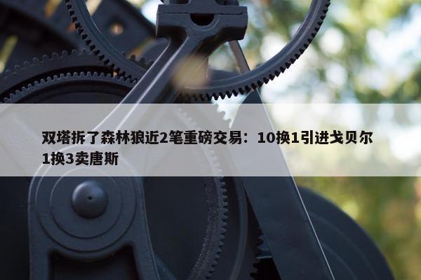 双塔拆了森林狼近2笔重磅交易：10换1引进戈贝尔 1换3卖唐斯