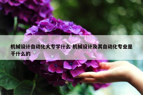 机械设计自动化大专学什么 机械设计及其自动化专业是干什么的