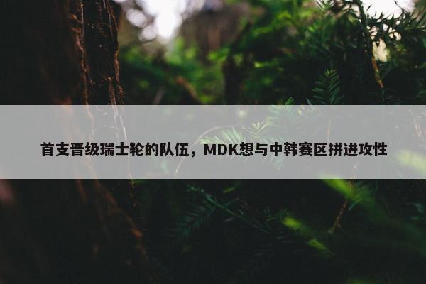 首支晋级瑞士轮的队伍，MDK想与中韩赛区拼进攻性