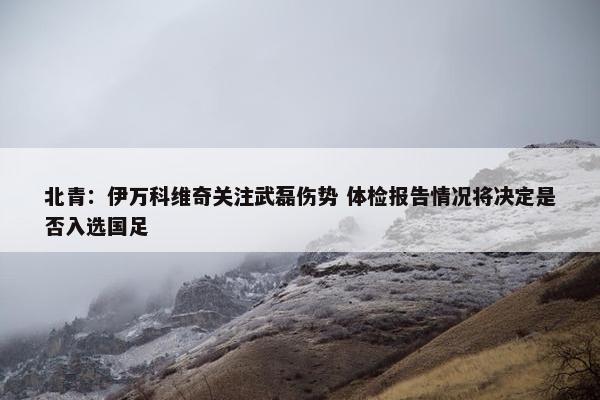 北青：伊万科维奇关注武磊伤势 体检报告情况将决定是否入选国足