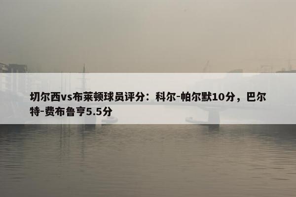 切尔西vs布莱顿球员评分：科尔-帕尔默10分，巴尔特-费布鲁亨5.5分