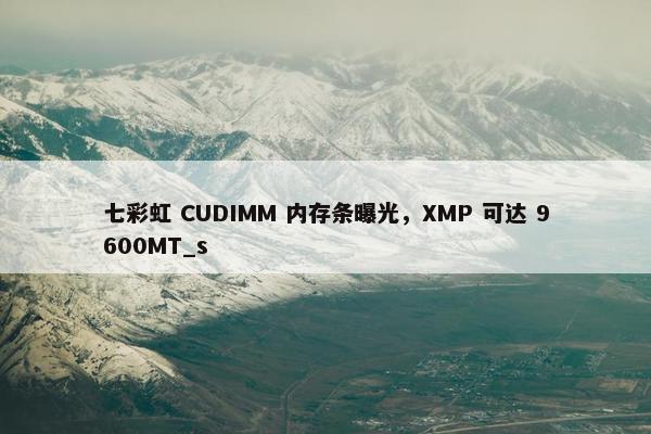 七彩虹 CUDIMM 内存条曝光，XMP 可达 9600MT_s