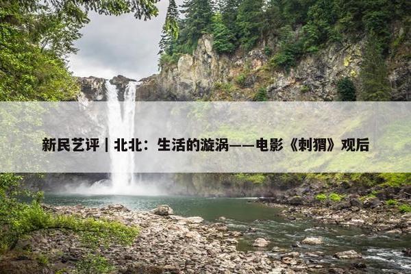 新民艺评｜北北：生活的漩涡——电影《刺猬》观后