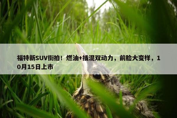 福特新SUV街拍！燃油+插混双动力，前脸大变样，10月15日上市