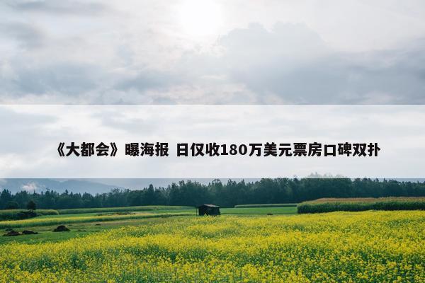 《大都会》曝海报 日仅收180万美元票房口碑双扑