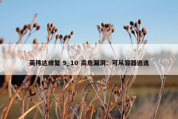 英伟达修复 9_10 高危漏洞：可从容器逃逸