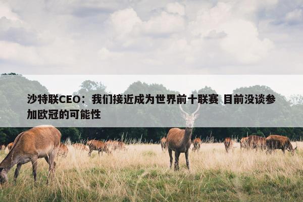 沙特联CEO：我们接近成为世界前十联赛 目前没谈参加欧冠的可能性