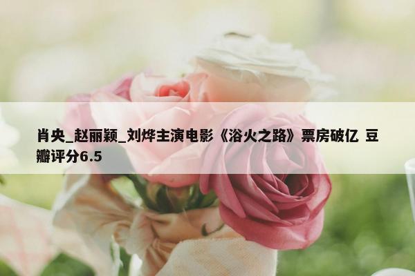 肖央_赵丽颖_刘烨主演电影《浴火之路》票房破亿 豆瓣评分6.5