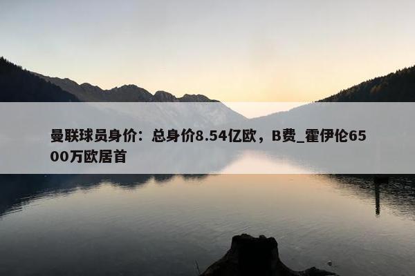 曼联球员身价：总身价8.54亿欧，B费_霍伊伦6500万欧居首