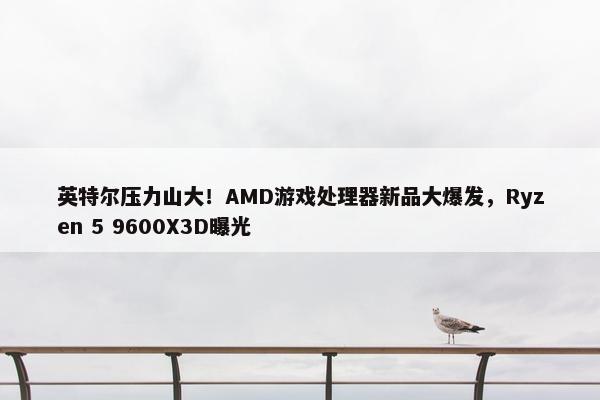 英特尔压力山大！AMD游戏处理器新品大爆发，Ryzen 5 9600X3D曝光