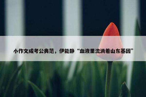 小作文成考公典范，伊能静“血液里流淌着山东基因”