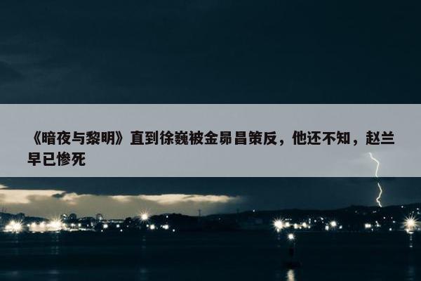 《暗夜与黎明》直到徐巍被金昴昌策反，他还不知，赵兰早已惨死