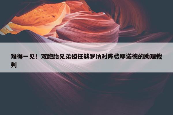 难得一见！双胞胎兄弟担任赫罗纳对阵费耶诺德的助理裁判