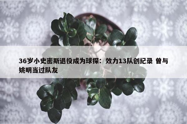 36岁小史密斯退役成为球探：效力13队创纪录 曾与姚明当过队友