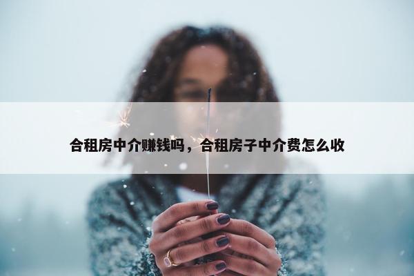 合租房中介赚钱吗，合租房子中介费怎么收