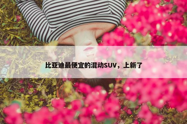 比亚迪最便宜的混动SUV，上新了