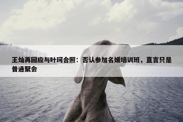 王灿再回应与叶珂合照：否认参加名媛培训班，直言只是普通聚会